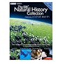The BBC Natural History Collection featuring Planet Earth (Planet Earth/ The Blue Planet: Seas of Life Special Edition/ Life of Mammals/ Life of Birds)