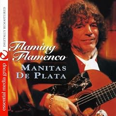 Flaming Flamenco