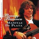 Flaming Flamenco