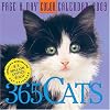 365 Cats 2009 Calendar (Color Page-A-Day(r) Calendars)