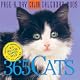 365 Cats