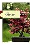 Les bonsa�s