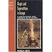 Magic and Superstition in Europe: A Concise History from Antiquity to the Present (Critical Issues in History)