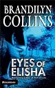 Eyes of Elisha