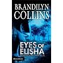 Eyes of Elisha
