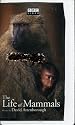 The Life of Mammals Volume 4
