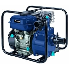 Einhell 4171341 Benzin-Wasserpumpe BG-PW 48