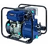 Einhell 4171341 Benzin-Wasserpumpe BG-PW 48