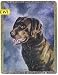 Labrador Retriever (Chocolate) Tapestry Afghan