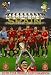Spain: 2010 World Cup Champion Tribute - 13 X 19