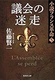 書評 議会の迷走　小説フランス革命５ by ef