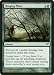 Magic the Gathering Clinging Mists Dark Ascension DKA 109 / 158 Common