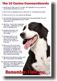 10 Canine Commandments #2 - Puppy Pet Lover Poster