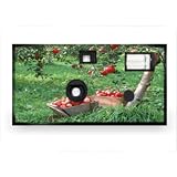 Farm & Country Disposable Camera Case Pack 20