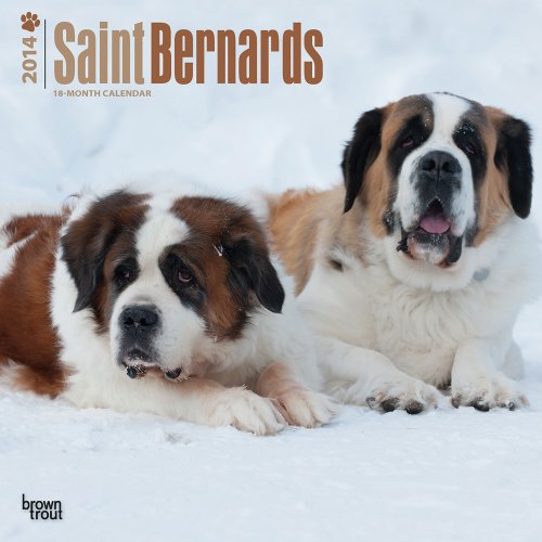 Saint Bernard Quotes. QuotesGram