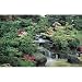 (99x164) Oriental Garden Huge Wall Mural Art Print Poster