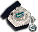 FLORIDA U GATOR HEAD DIAMOND GLASS