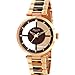 Kenneth Cole New York Women's KC4766 Rose Gold Transparent Dial Round Watch