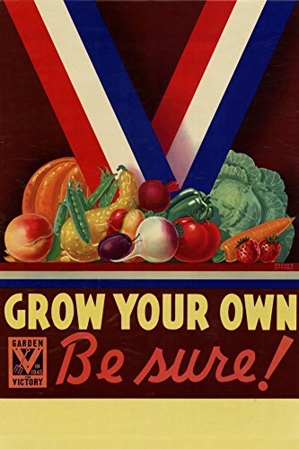 Grow Your Own Be Sure Safe Food WWII War Propaganda Plastic Sign 12 x 18in