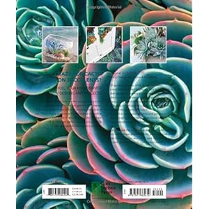 Planting Designs for Cactus & Succulents: Indoor and Outdoor Projects for Unique, Easy-Care Plants--in All Climates