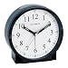 Chaney Instruments Accurite Alarm Clock