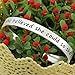 YSECTL lauhonmin Graduation Gifts Bracelets for Women Valentine Bangle Bracelets for Girl - She Believed She Could So She Did (Style A)