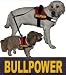 BULLPOWER 2xLogos klein gelb f�r Julius K9 / Logo Klettlogo Austauschlogo K-9 Powergeschirr + IDC (IDC Baby1 + IDC/Power Baby2/MiniMini/Mini/