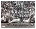 Brooks Robinson Baltimore Orioles Autographed 8x10 Photograph