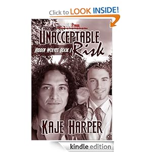 Unacceptable Risk - Kaje Harper