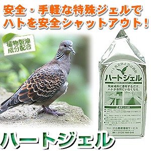 鳥被害でお困りの方必見！塗るだけでハト飛来防止！簡単鳩忌避剤『ハートジェル』