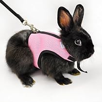 Niteangel Soft Harness with Lead for Rabbits (Pink)
