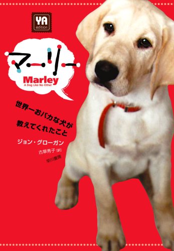 �ޡ��꡼[YA edition]  �����줪�Х��ʸ��������Ƥ��줿����