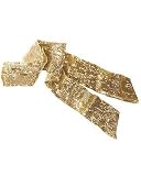 Metallic sequined sash