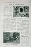 1907 WHADDON FOXHOUNDS SPORT HUNTING COTSWOLD DOGS