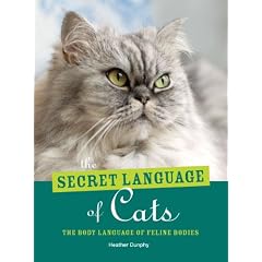 Secret Language of Cats: The Body Language of Feline Bodies
