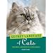 Secret Language of Cats: The Body Language of Feline Bodies