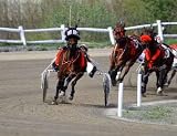 Harness Racing - 24