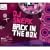 Back in the Box: DJ Sneak