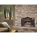 Chimney 57294 GDI-30N Direct Vent Gas Fireplace Insert Natural Gas Minimum Fireplace Opening 28 x 21.75 Inchh x 18 Inchd