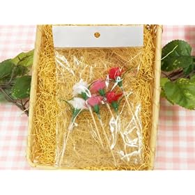 �y���َq��̓��̃M�t�g�̏���Ɂ�z�J�[�l�[�V�����s�b�N�@�i�U����j�y���b�s���O��ɂ���z