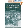 The Midrashic Process: Tradition and Interpretation in Rabbinic Judaism by Irving Jacobs