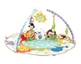 Fisher-Price Precious Planet Deluxe Musical Activity Gym