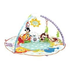 Mattel N8850-0 - Fisher-Price Wunderwelt Erlebnisdecke