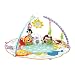 Fisher-Price Precious Planet Deluxe Musical Activity Gym