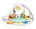 Fisher-Price Precious Planet Deluxe Musical Activity Gym