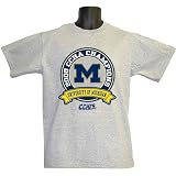 Michigan Wolverines 2008 CCHA Champions Gray T-Shirt