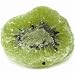 Dried Kiwi