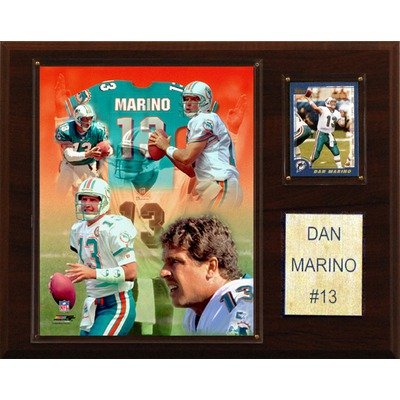 NFL Miami Dolphins Dan Marino Player Plaque