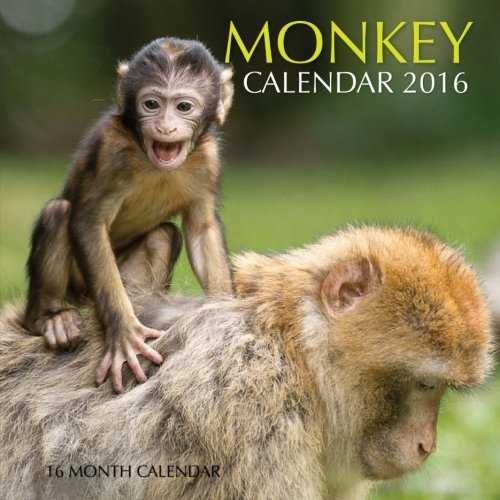 Monkey Calendar 2016: 16 Month Calendar