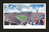 Florida Gators Framed Florida Gators Swamp Panoramic NCAA College Athletics